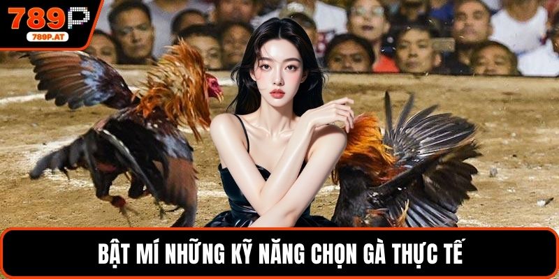 Bật mí những kỹ năng chọn gà thực tế