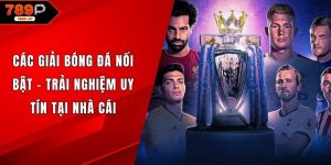 Các giải bóng đá