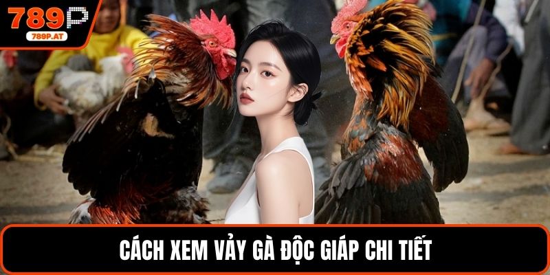 Cách xem vảy gà độc giáp chi tiết