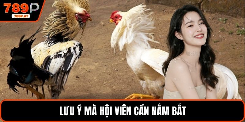Lưu ý mà hội viên cần nắm bắt
