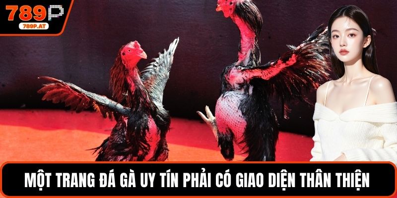 Một trang đá gà uy tín phải có giao diện thân thiện