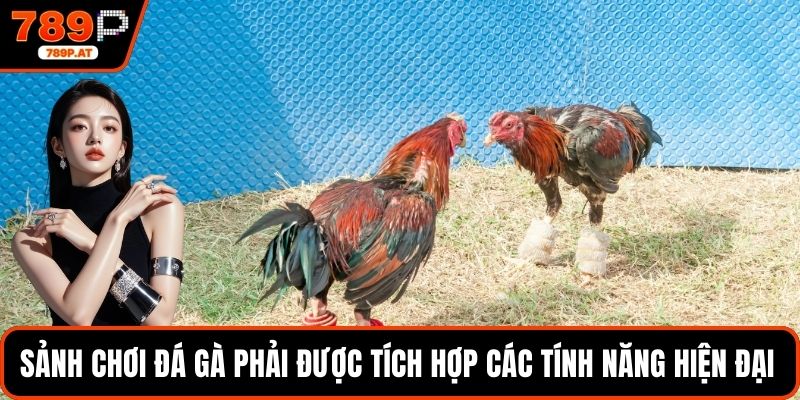 Sảnh chơi đá gà phải được tích hợp các tính năng hiện đại